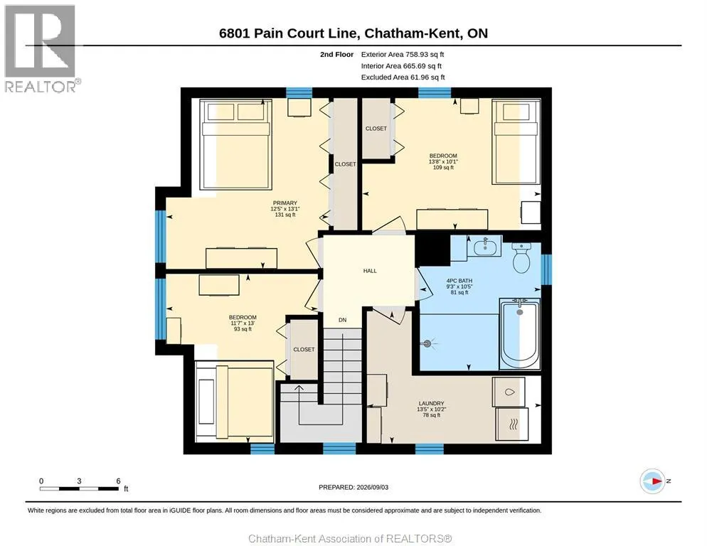 6801 Pain Court LINE