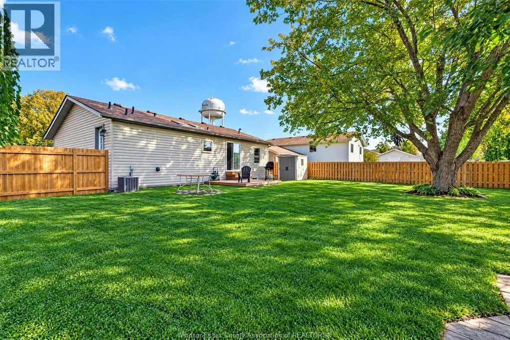 271 MAPLE