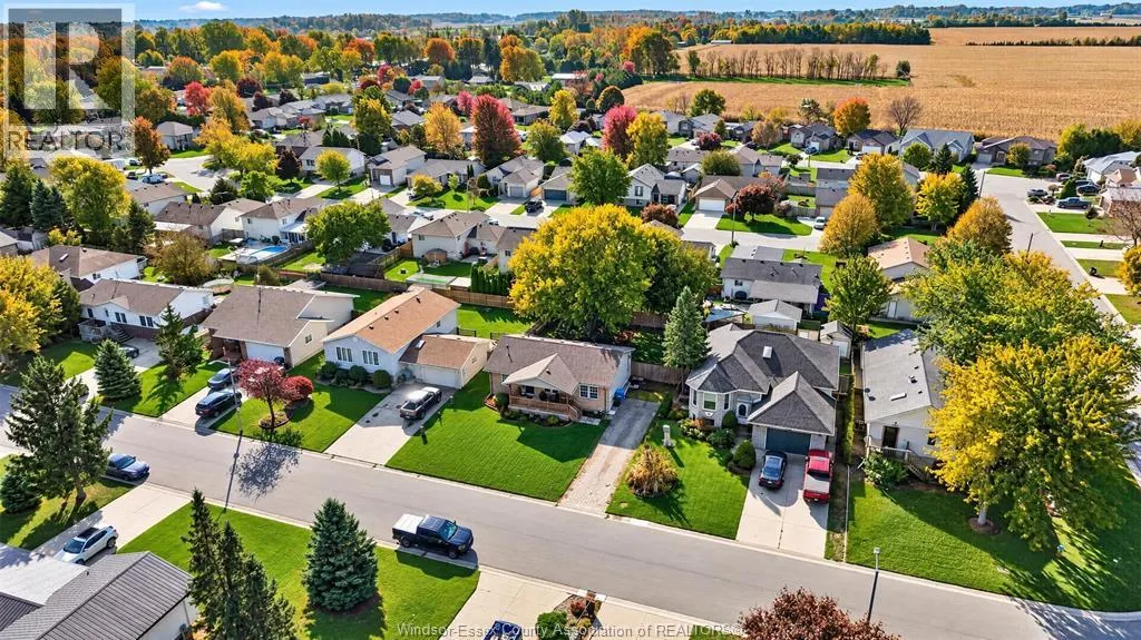 271 MAPLE