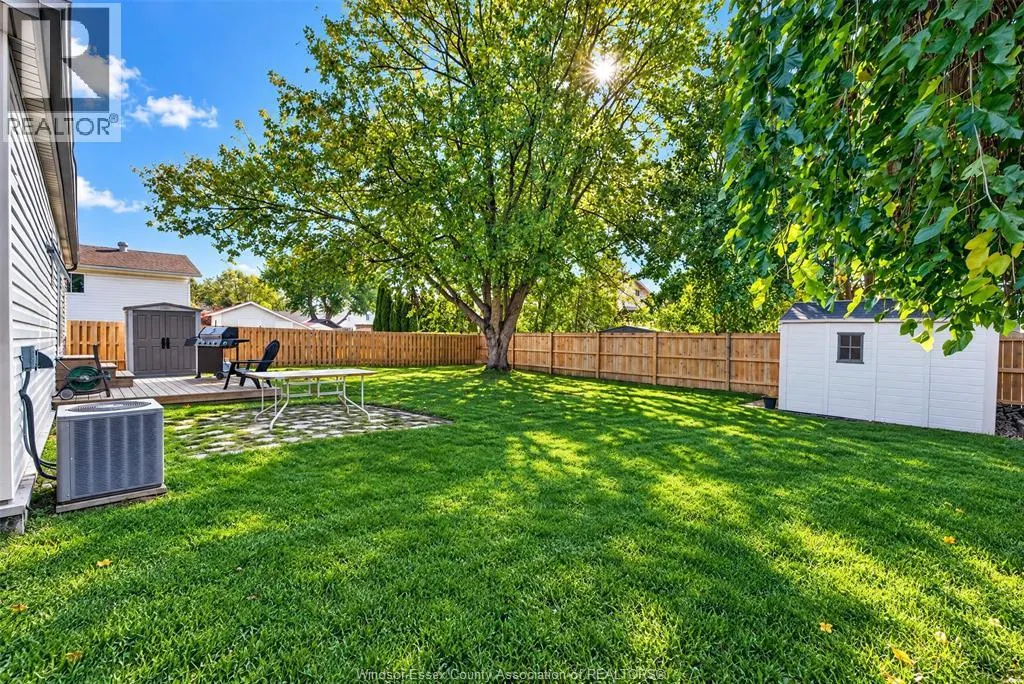 271 MAPLE