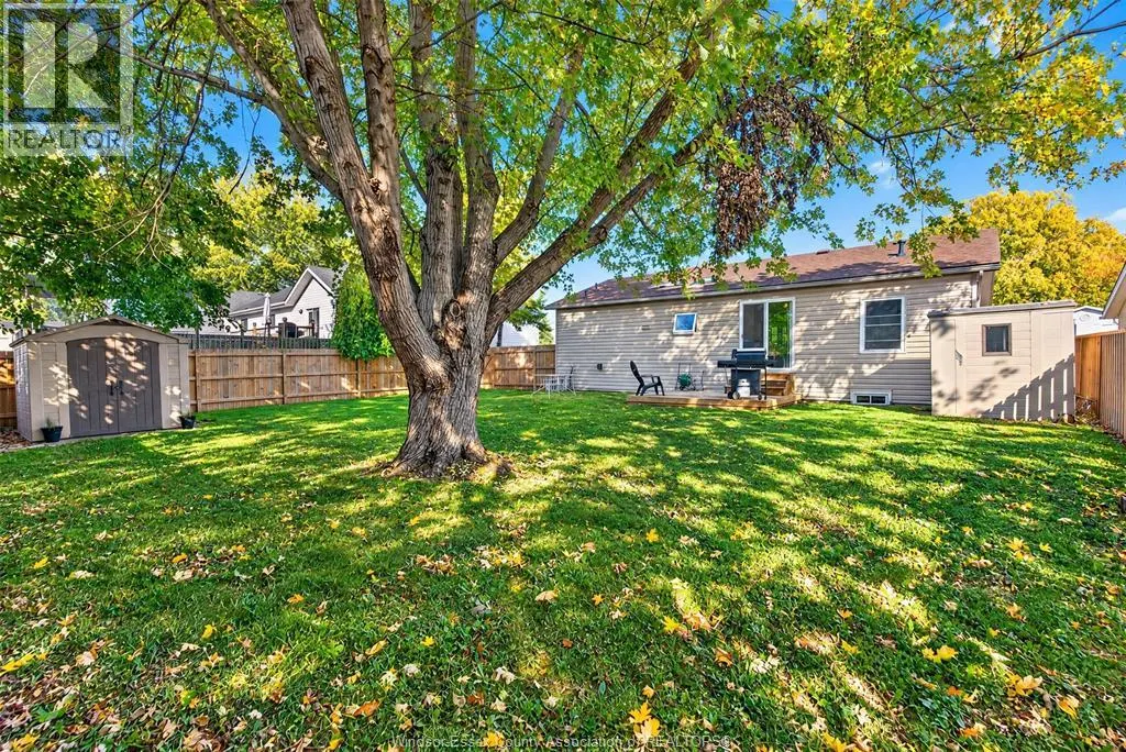 271 MAPLE