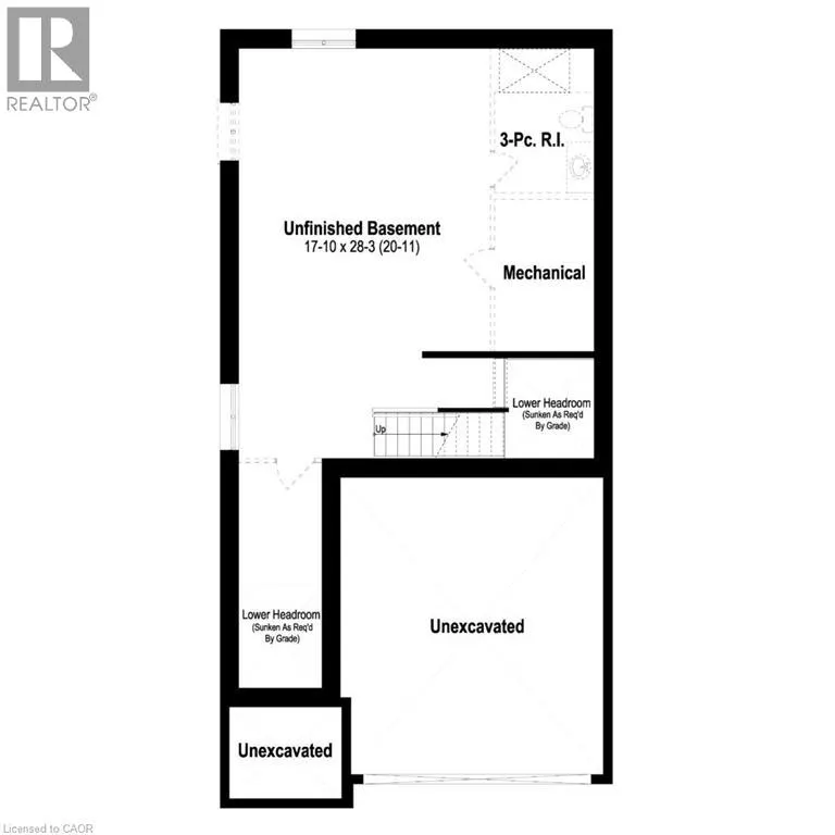 338 CANADA PLUM Street