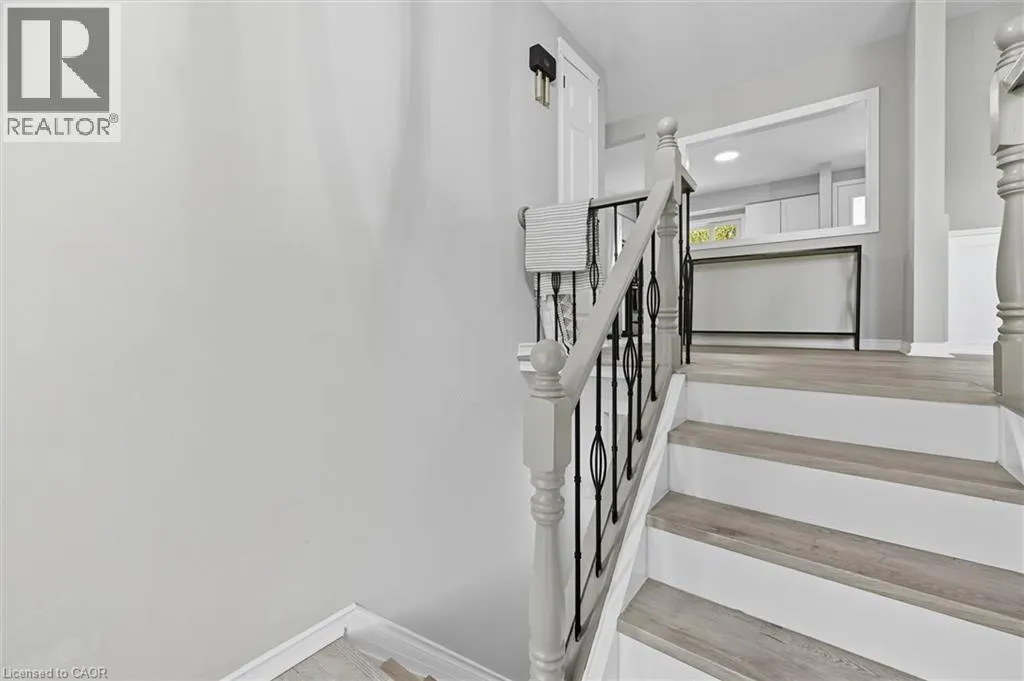 19 AARON Drive