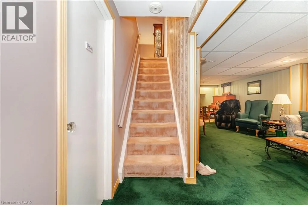 5 STERNE Avenue