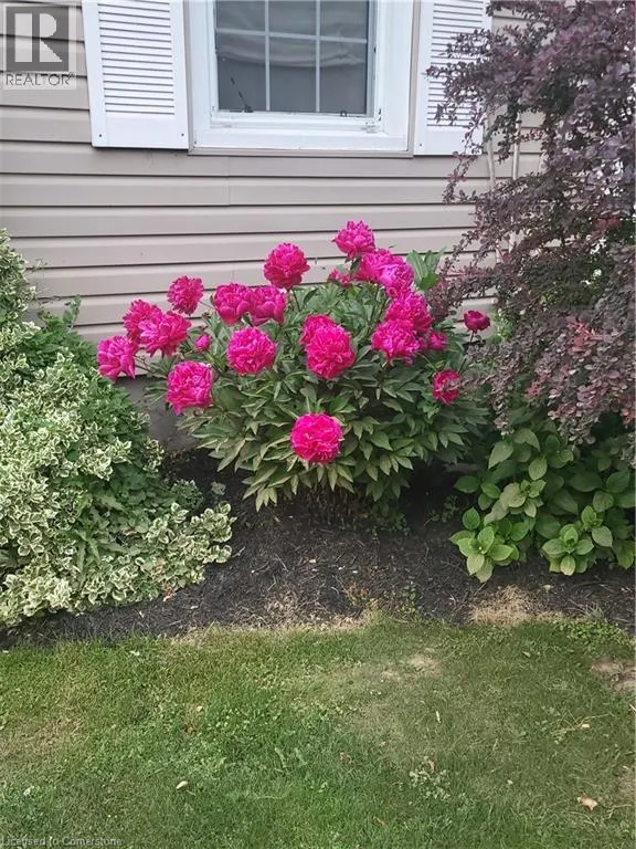 22 BROOK Road S
