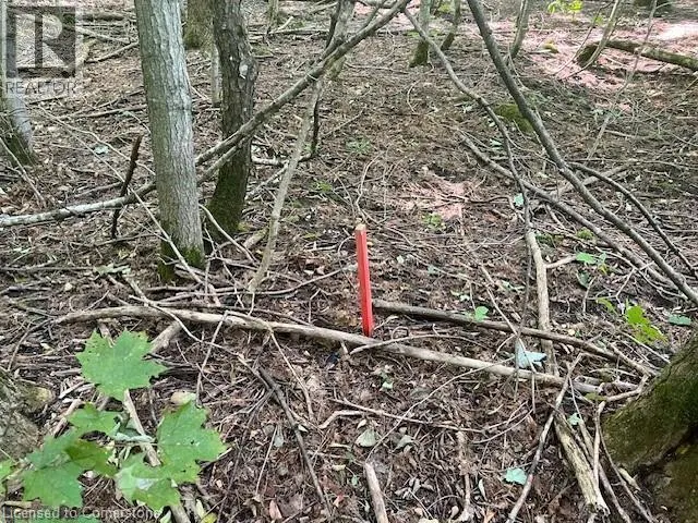 PT LT44 24TH SIDE Road