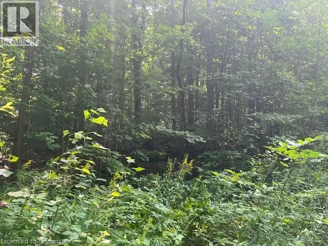 PT LT44 24TH SIDE Road