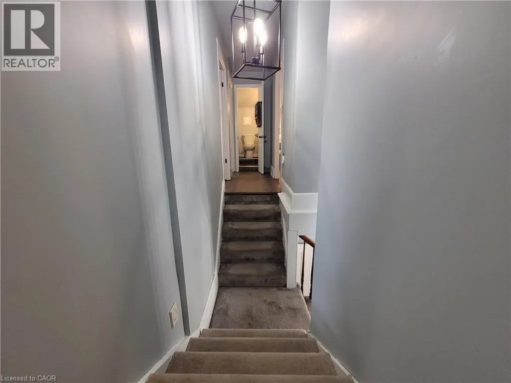 65 MCCALL Street