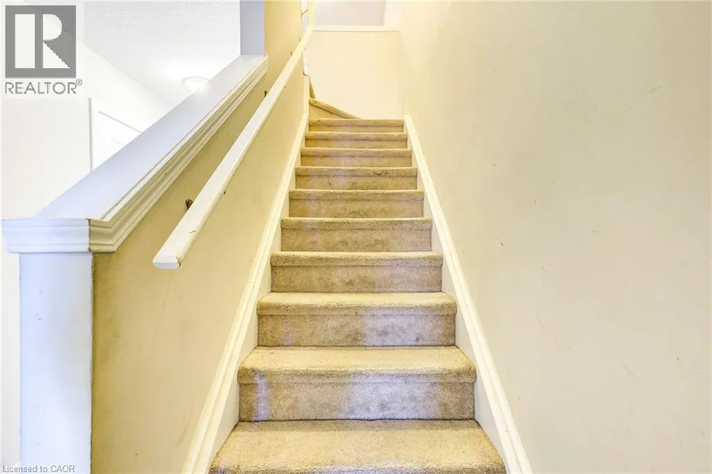 29 GRAND FLATS Trail