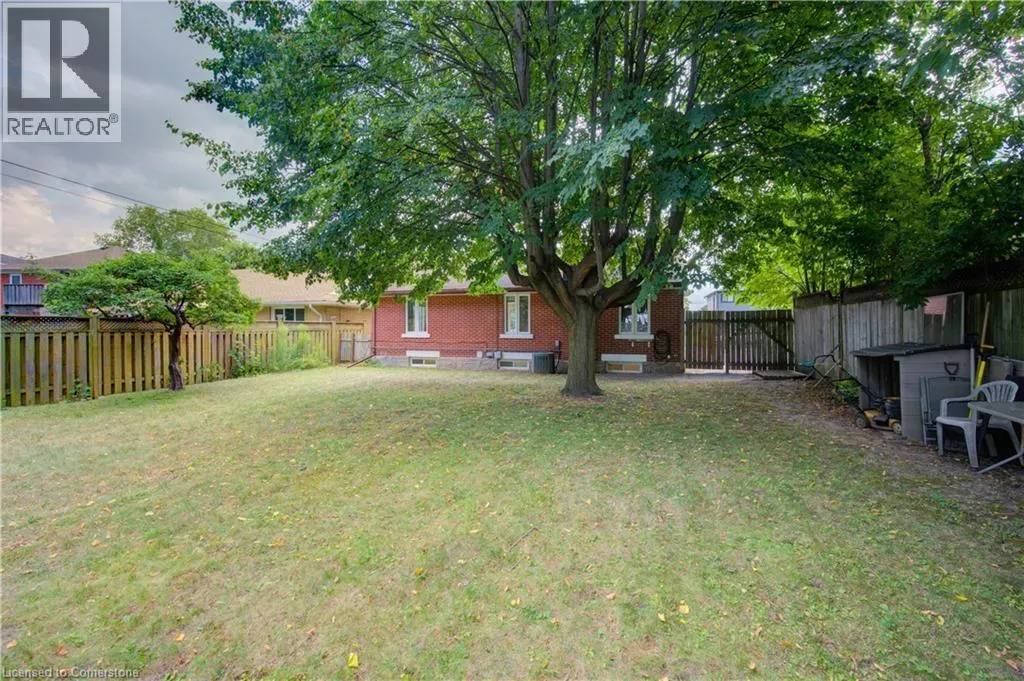 28 JACK Avenue