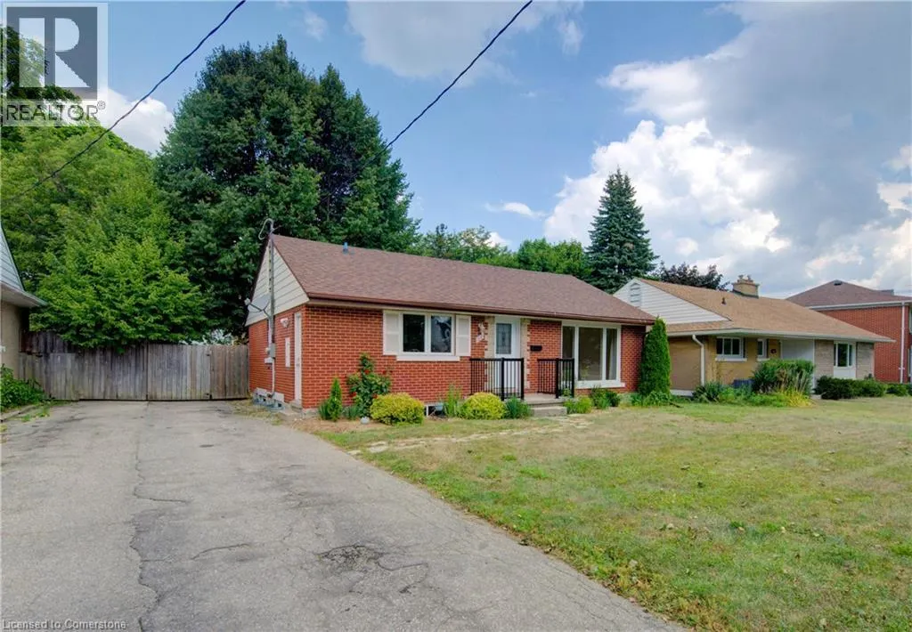28 JACK Avenue