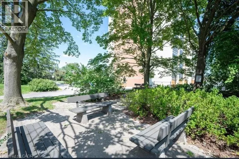 65 WESTMOUNT Road N Unit# 311, #311