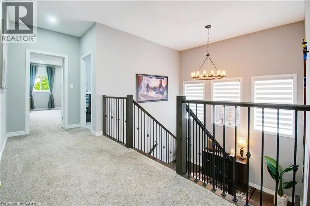 49 SCOTS PINE Trail