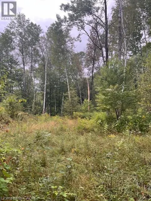 4333 LOOP Road