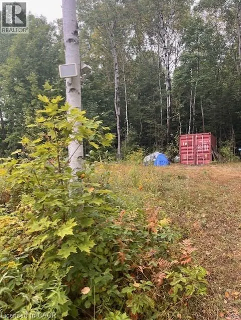 4333 LOOP Road