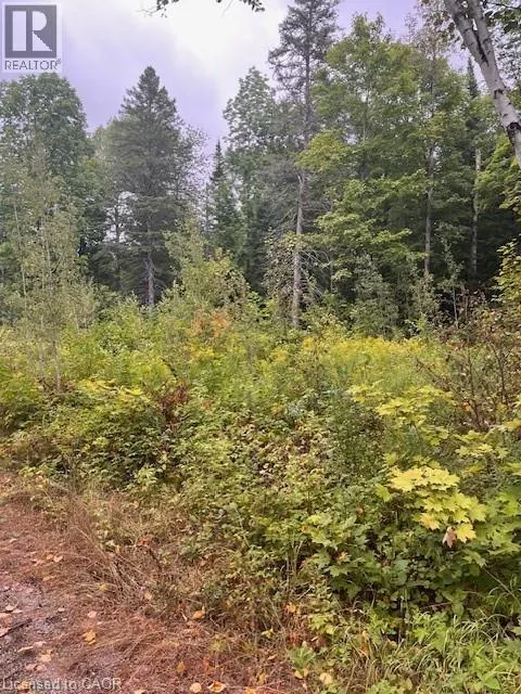 4333 LOOP Road