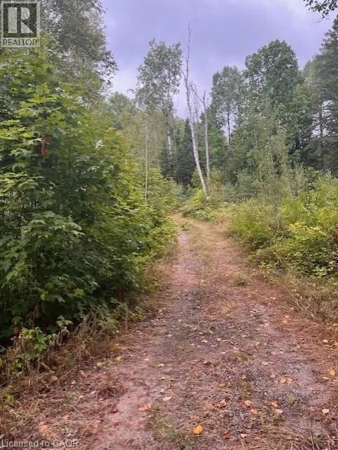4333 LOOP Road