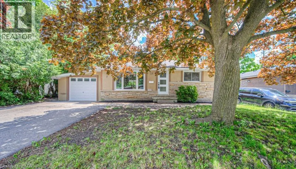 5 ALISON Avenue