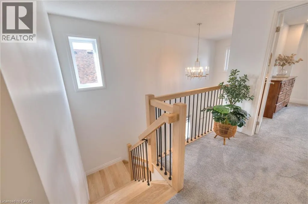 164 TIMBER TRAIL Road