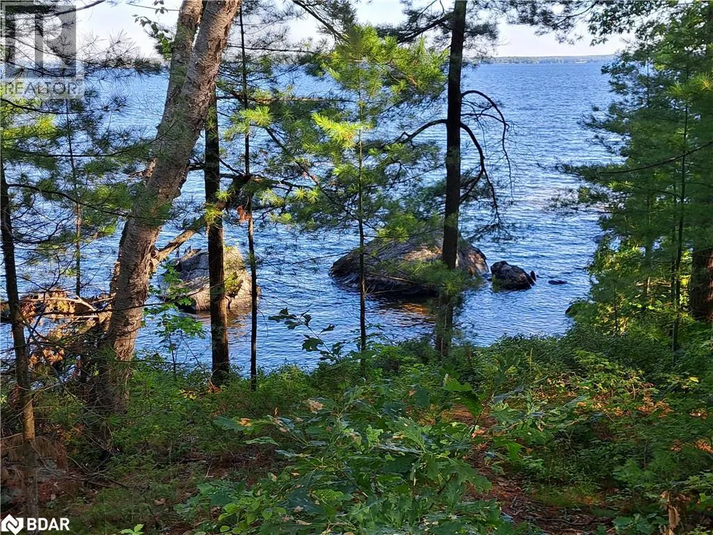 1 ISLAND 3LM Island