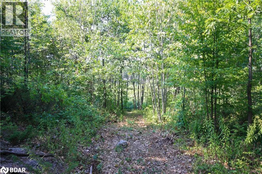 30 BIRCH ACRES Drive