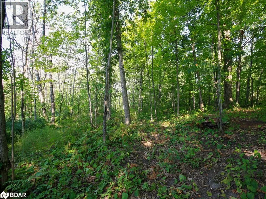 30 BIRCH ACRES Drive