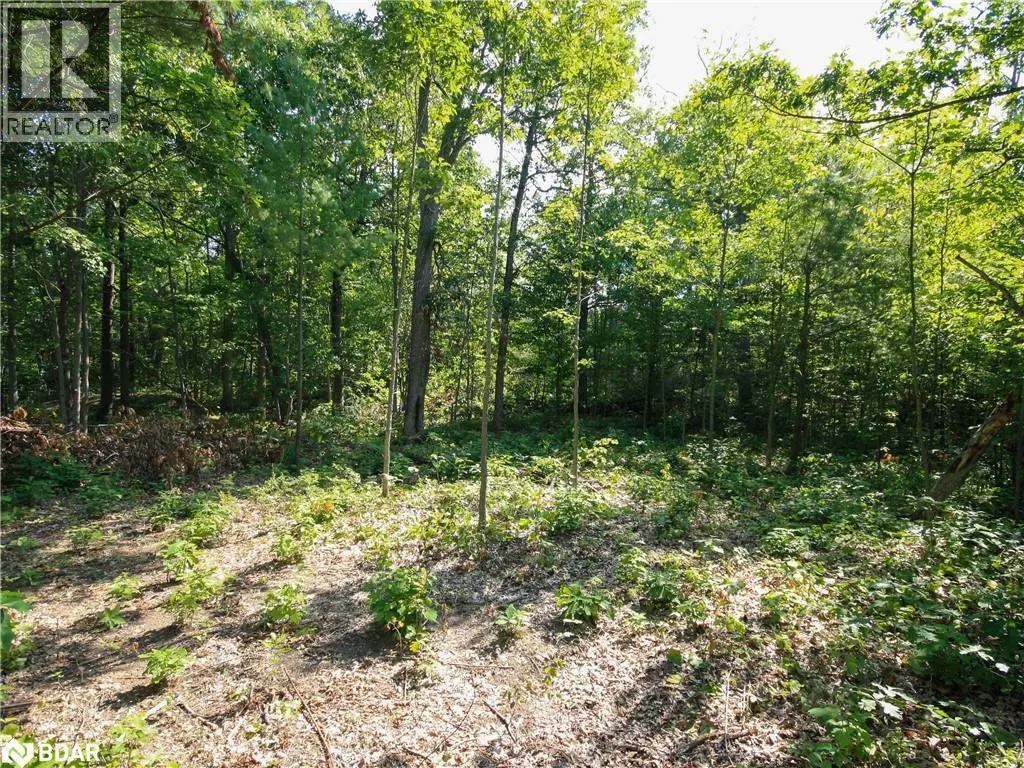 30 BIRCH ACRES Drive