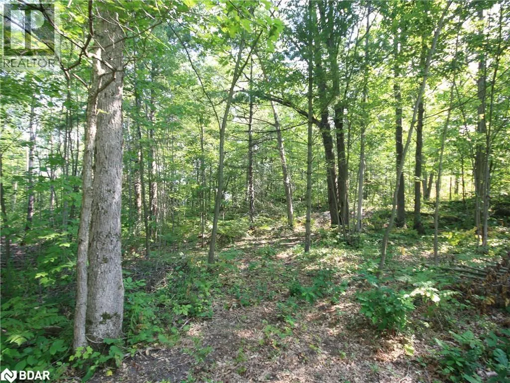 30 BIRCH ACRES Drive