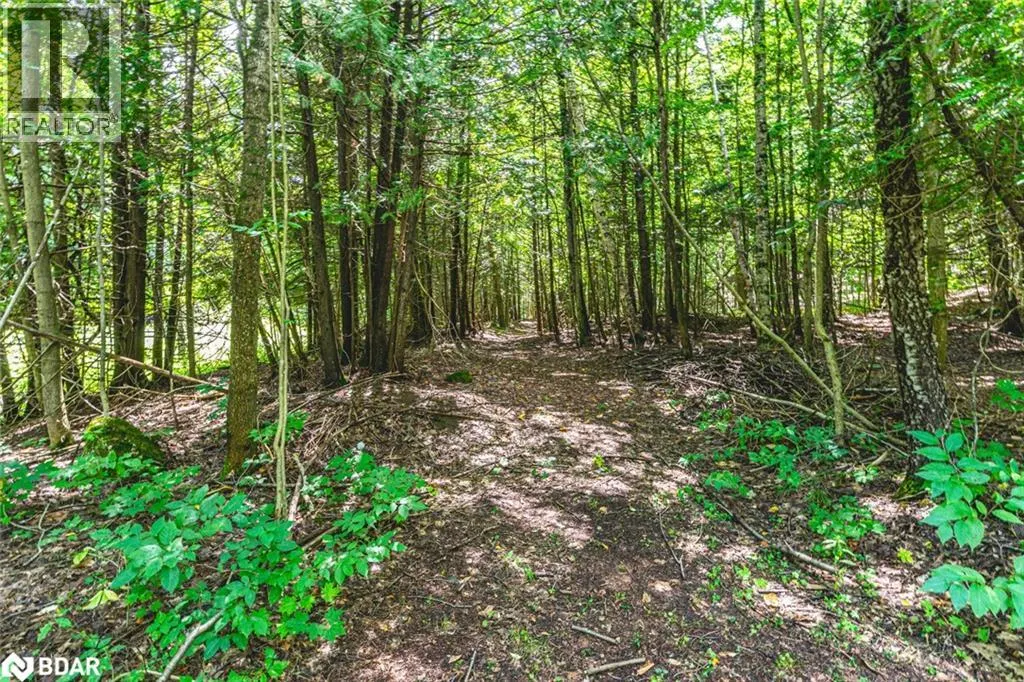 8275 COUNTY RD 9