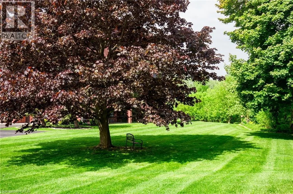 5 MILL POND Court Unit# 704, #704