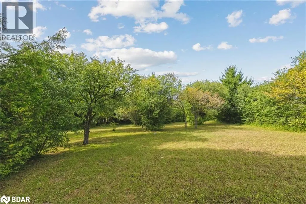 46 FOREST HILL Drive