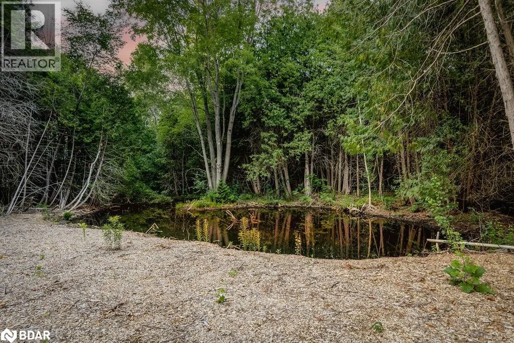 16245 7TH CONCESSION Road