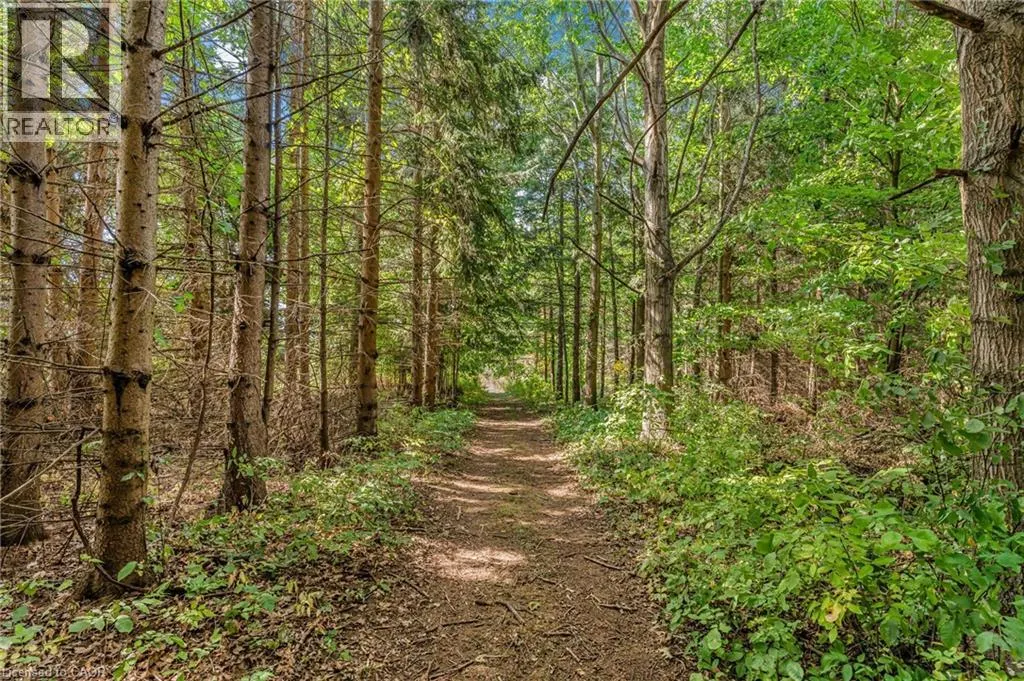 927 WAINFLEET/DUNNVILLE TOWNLINE Road