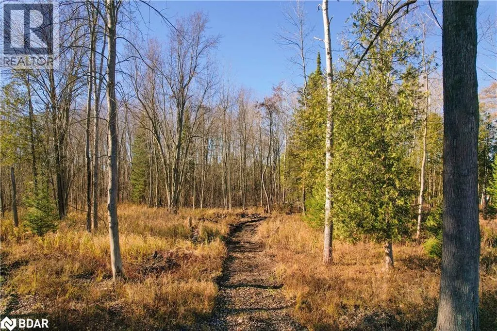 6605 COUNTY ROAD 21