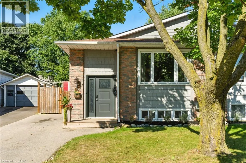 37 MAPLE Crescent