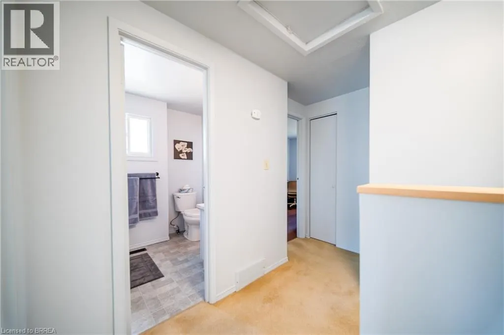 100 WHITE OWL Crescent