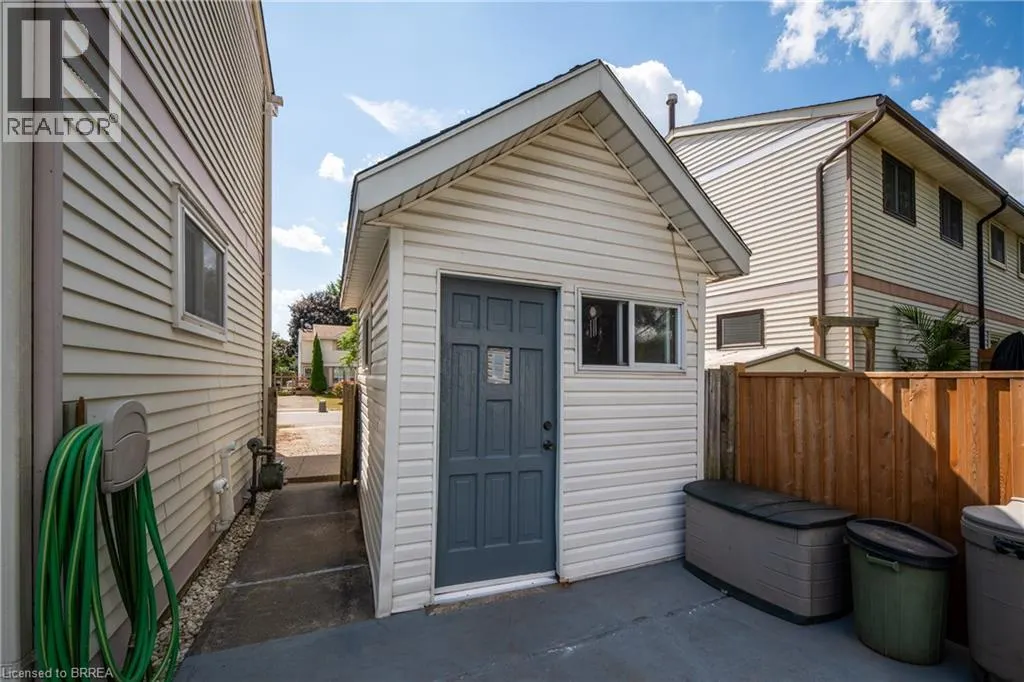 100 WHITE OWL Crescent