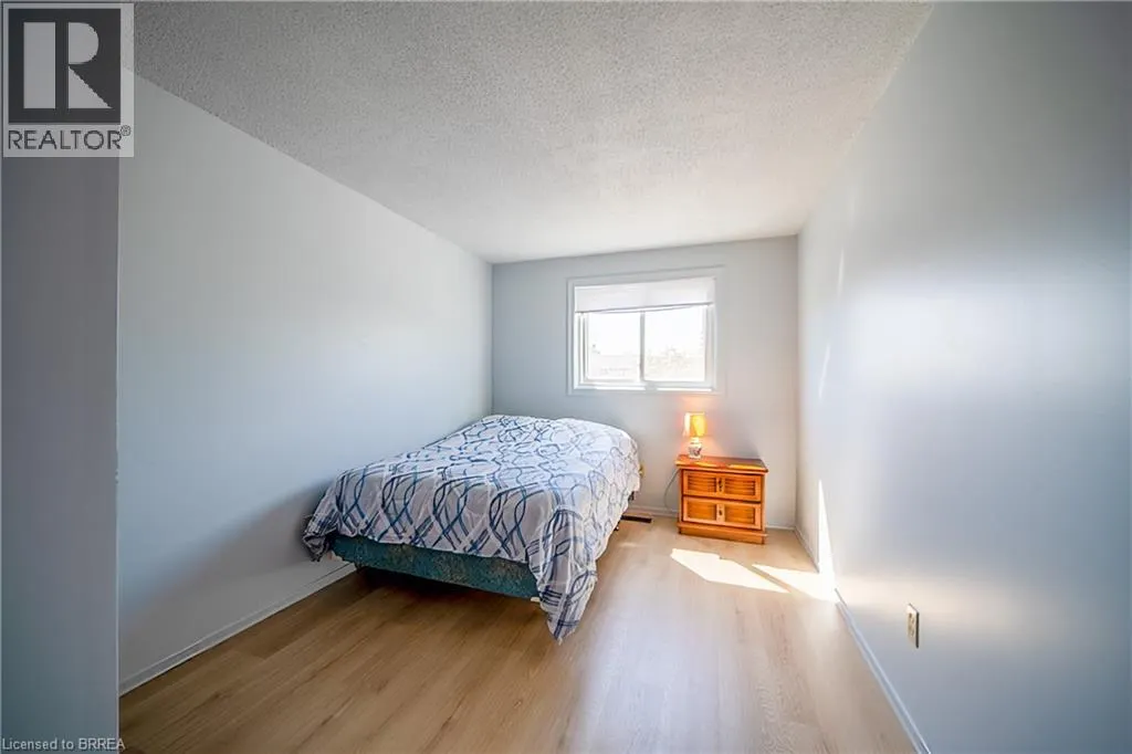 100 WHITE OWL Crescent