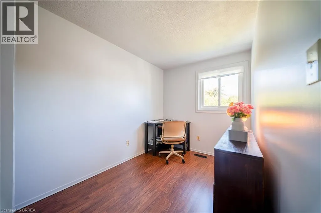 100 WHITE OWL Crescent