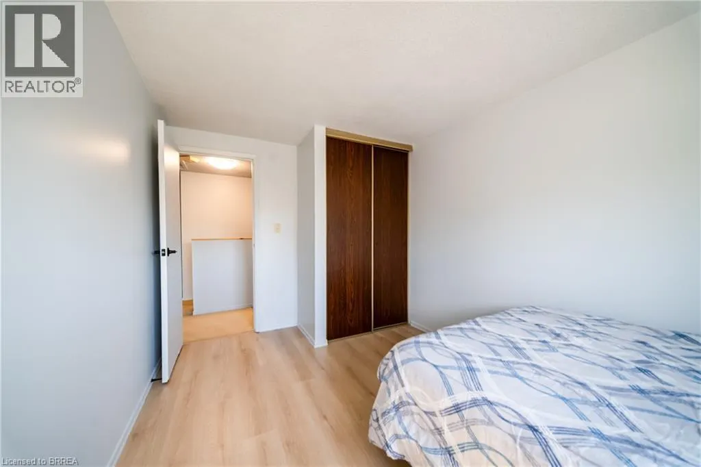 100 WHITE OWL Crescent
