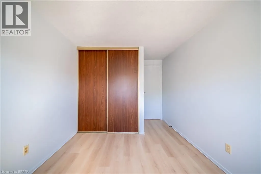 100 WHITE OWL Crescent