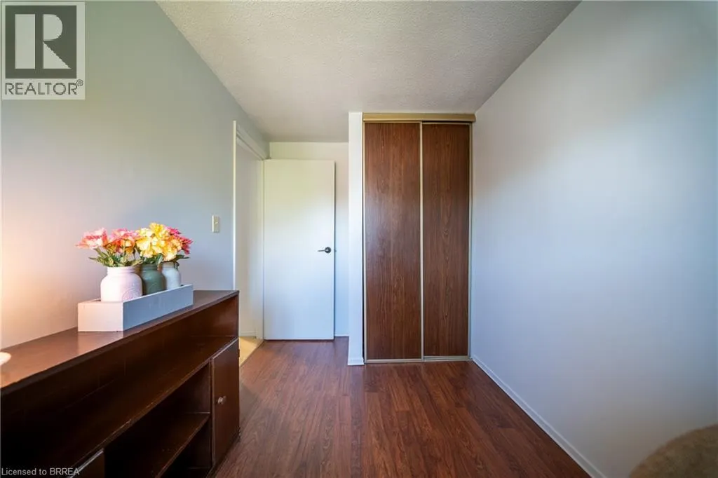 100 WHITE OWL Crescent