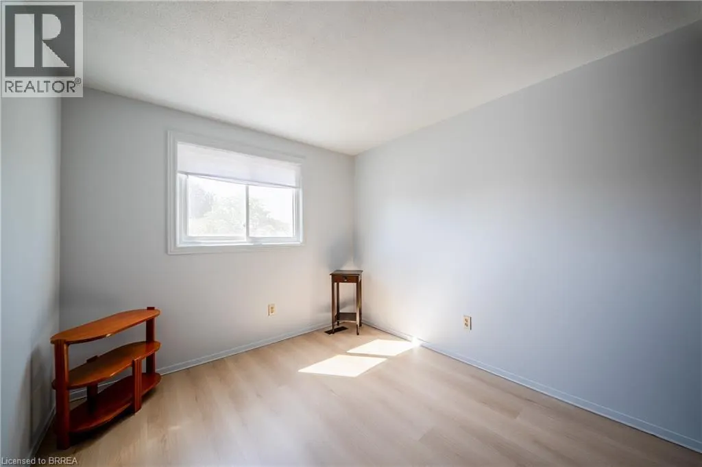 100 WHITE OWL Crescent