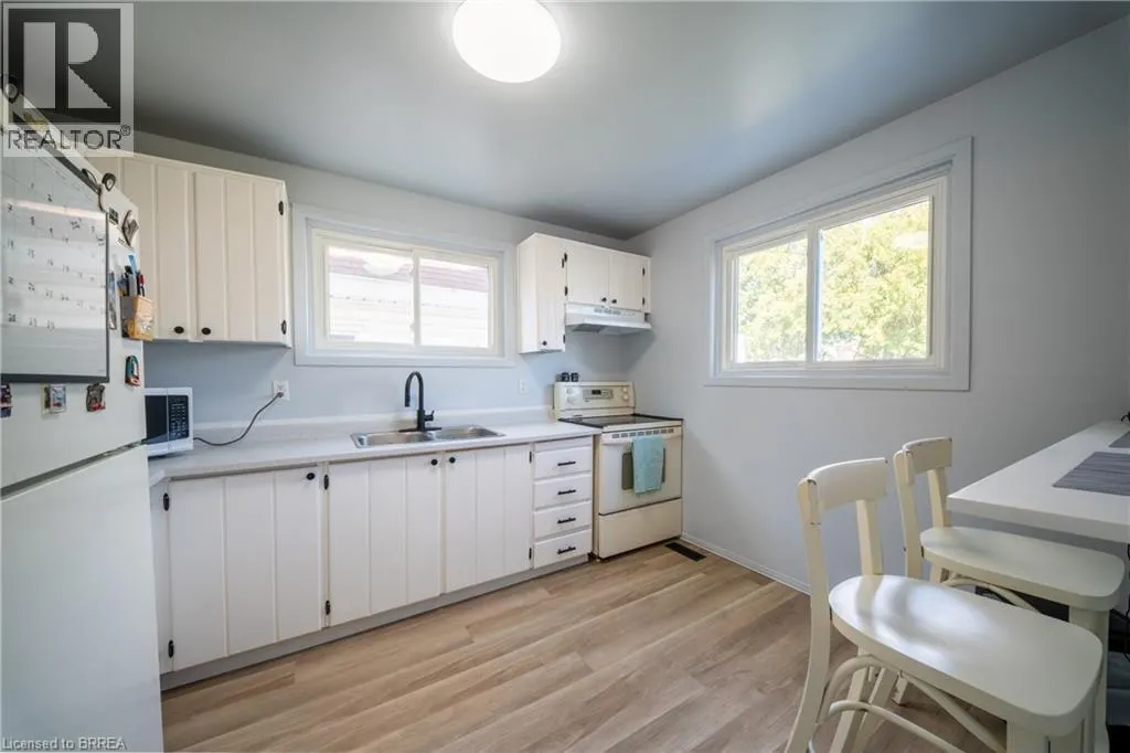 100 WHITE OWL Crescent