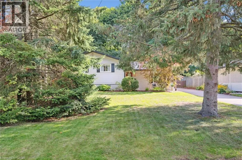 89 MAYFIELD Avenue