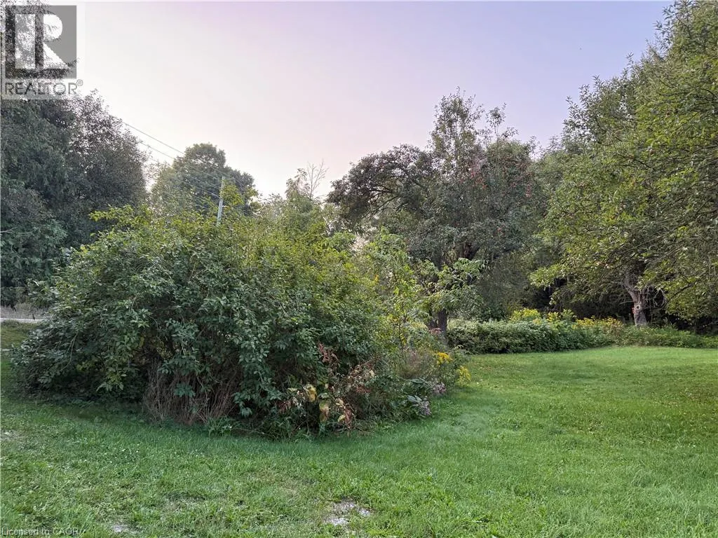 585 WILMOT Line