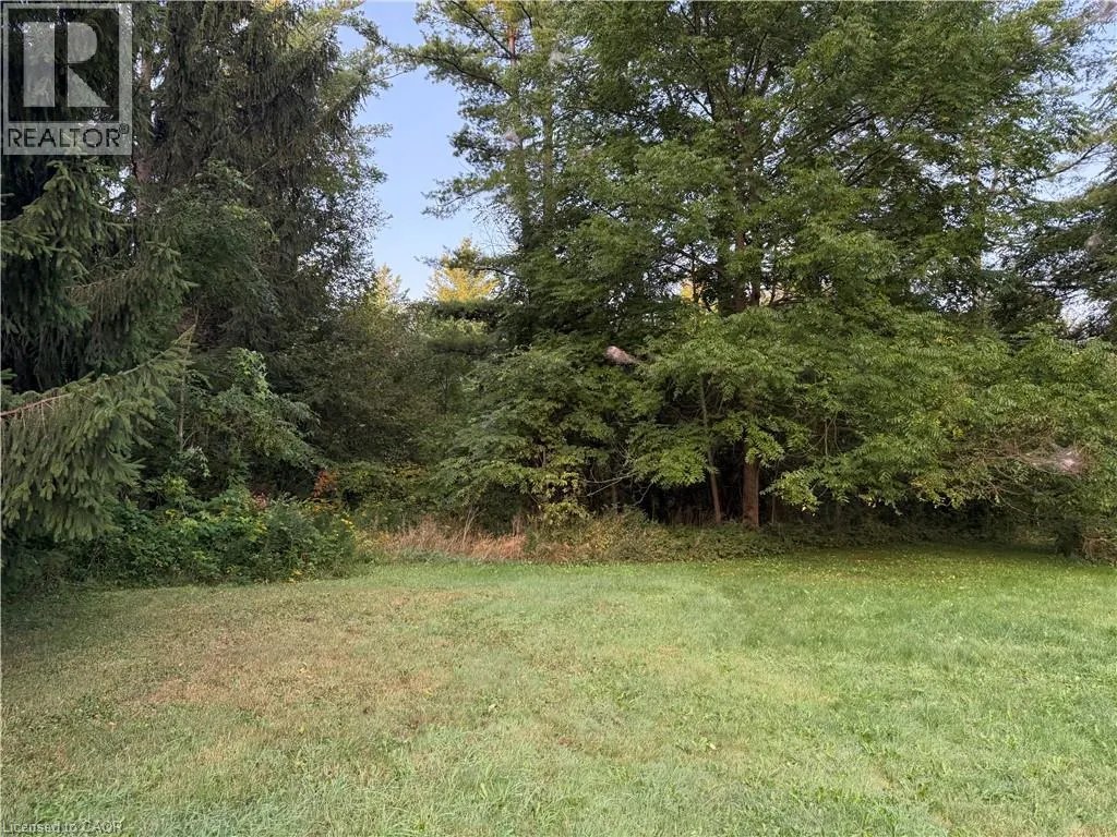 585 WILMOT Line