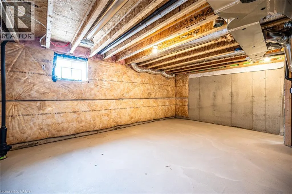 319 ROSENBERG Way