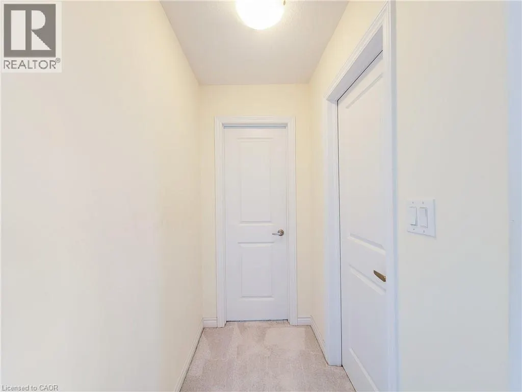 241 VANILLA Trail