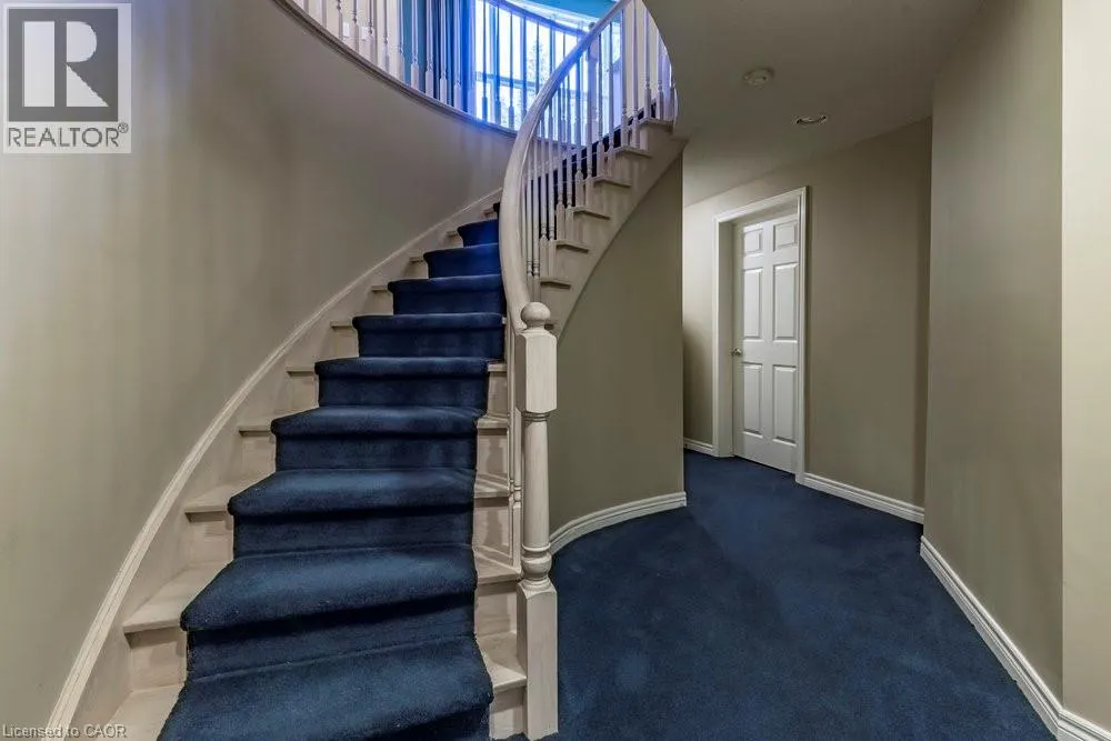 223 BRIAR HILL Crescent